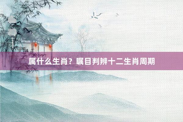 属什么生肖？瞩目判辨十二生肖周期