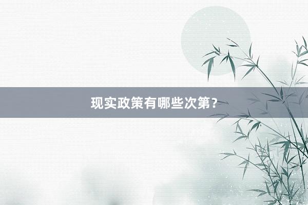 现实政策有哪些次第？