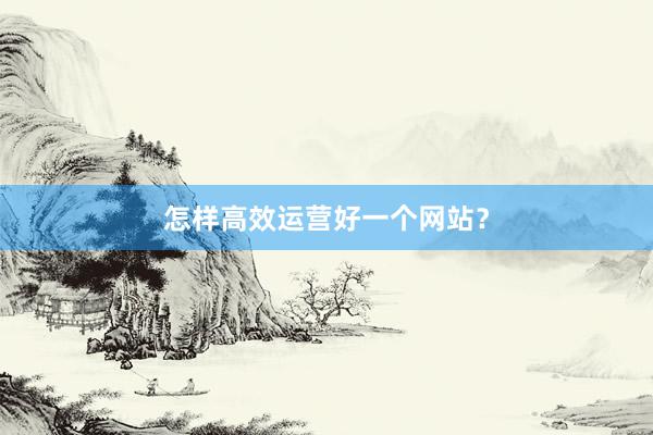 怎样高效运营好一个网站？
