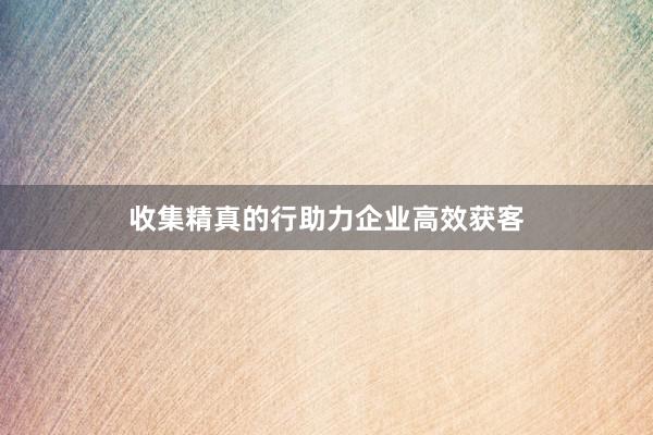 收集精真的行助力企业高效获客