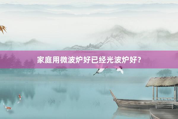 家庭用微波炉好已经光波炉好？