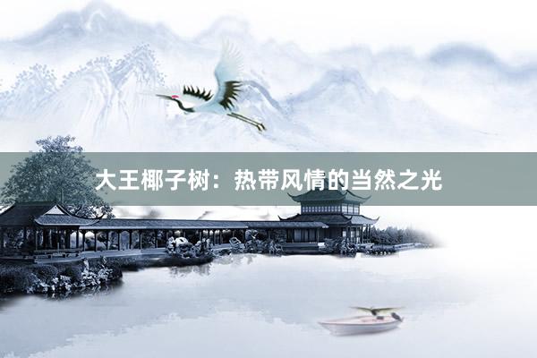 大王椰子树：热带风情的当然之光