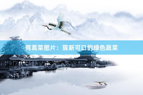 茼蒿菜图片：簇新可口的绿色蔬菜